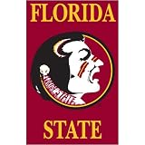 Florida State Seminoles NCAA Applique Banner Flag (44x28)