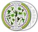 Womanswork 610hg Herb Garden Wheel