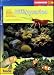 Faszination - Riffaquarien by Linda Fasulo ISBN 3898601080