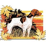 German Shorthair Pointer Men's Long-Sleeve T-Shirt : Hunting Dog