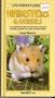 A Petkeeper's Guide to Hamsters and Gerbils