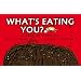 What's Eating You?