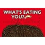 What's Eating You?