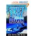 Swift Boat Down: The Real Story of the Sinking of PCF-19