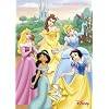 GB eye Ltd, Disney Princess, Fairytale, Maxi Poster, (61x91.5cm) FP1361