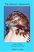 The Falconer's Apprentice