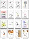 Review Escape Concepts  / Personalized Cosmopolitan Cocktail Mixes