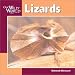 Lizards (Our Wild World)