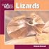 Lizards (Our Wild World)