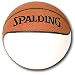 Spalding NBA Mini Autograph Basketball