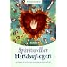 Spirituelles Handauflegen: Leitfaden zur Entwicklung und Anwendung spiritueller Heilkraft