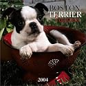 Boston Terrier Puppies 2004 Calendar