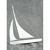 Dumas Ace Sloop, 17 by Dumas