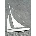 Ace Sloop,17"