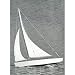 Ace Sloop,17