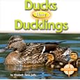 Ducks Have Duckings (Animals and Their Young) by  Elizabeth Dana Jaffe