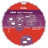 Wheel. Latein Verben. Passive Formen. Sprachdrehscheibe