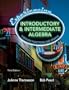 Experiencing Introductory and Intermediate Algebra Through Functions and Graphs (3rd Edition)