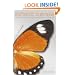 Authentic Business: How to Create and Run Your Perfect Business