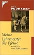 Meine Lehrmeister die Pferde