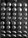 TINY SHELL ASSORTMENT Nautical Candy Mold Chocolate