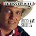 Search : 16 Biggest Hits