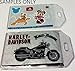 Clear Vinyl Luggage Tags with Loops & Name Cards - Set of 10