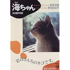 �C�����\����L�̕��� (�V������)