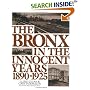 The Bronx in The Innocent Years (Life in The Bronx Series)