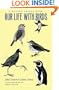 Our Life with Birds: A Nature Trails Book (Wardlaw Books)