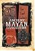 Your Travel Guide to Ancient Mayan Civilization (Day, Nancy. Passport to History.)