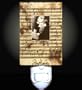Beethoven on Music Notes- Decorative Night Light
