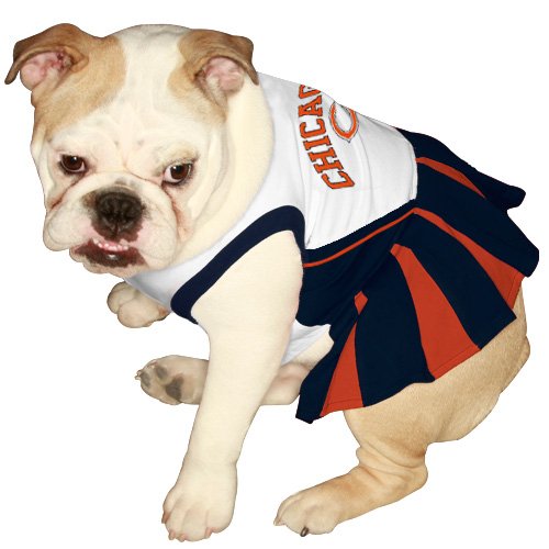 Chicago Bears dog pet cheerleader dress XS 4-10 lbs