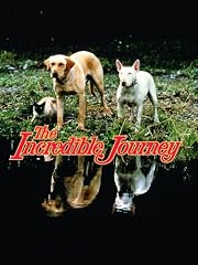 The Incredible Journey