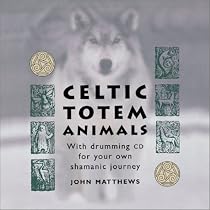 Celtic Totem Animals [With DVD]