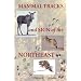 Mammal Tracks and Sign of the Northeast