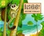 Bushbaby (Happy Cat Books)