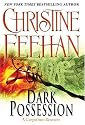 Dark Possession (The Carpathians (Dark) Series, Book 15)
