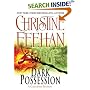 Dark Possession (The Carpathians (Dark) Series, Book 15)