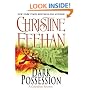 Dark Possession (The Carpathians (Dark) Series, Book 15)