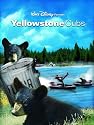 the Yellowstone Cubs