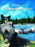 the Yellowstone Cubs