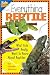 Everything Reptile: What Kids Really Want to Know about Reptiles (Kids Faqs)