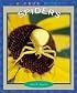 Spiders (True Books)