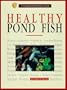 Healthy Pond Fish: A Complete Authoritative Guide