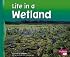 Life in a Wetland (Pebble Plus)