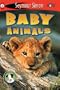 Baby Animals  (See More Readers, Level 1)