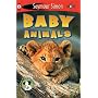 Baby Animals  (See More Readers, Level 1)