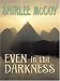 Even in the Darkness (The Lakeview Series #3) (Steeple Hill Love Inspired Suspense #14)