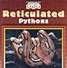 Book Reticulated Pythons (World's Largest Snakes)